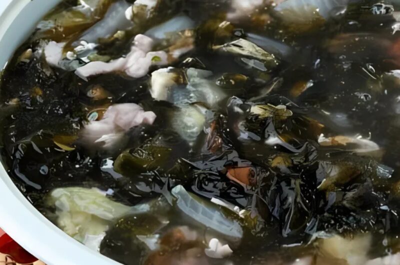 Wakame Shrimp Soup Recipe